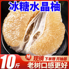 【冰糖柚】柚子白心蜜柚新鲜水果福建平和非红心沙田柚2斤起