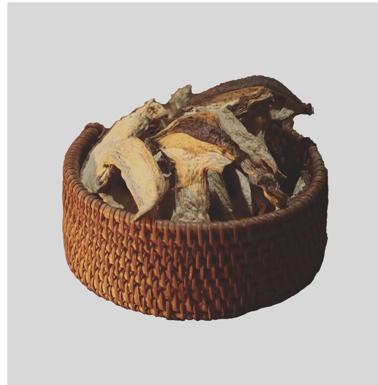 四川藏区特产野生干片煲汤菌汤包食用非新鲜青杠菌青冈菌青岗菌