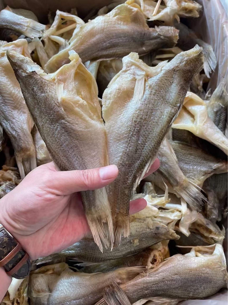 鱼干 鲈鱼 加州卢鱼 淡口 咸鱼 海鲜干货 水产干货批发