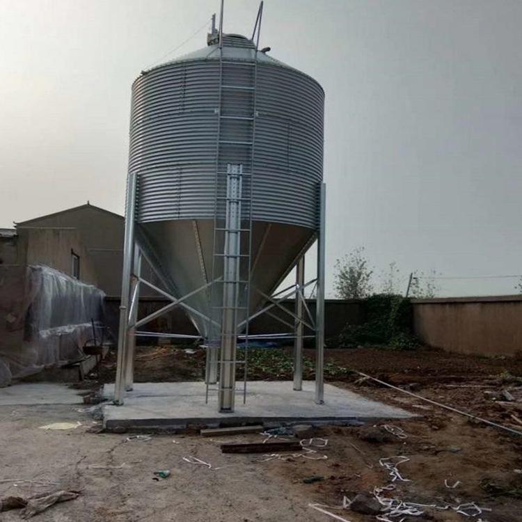 猪场自动化养殖设备饲料储存罐 猪场喂料系统 饲料储存罐