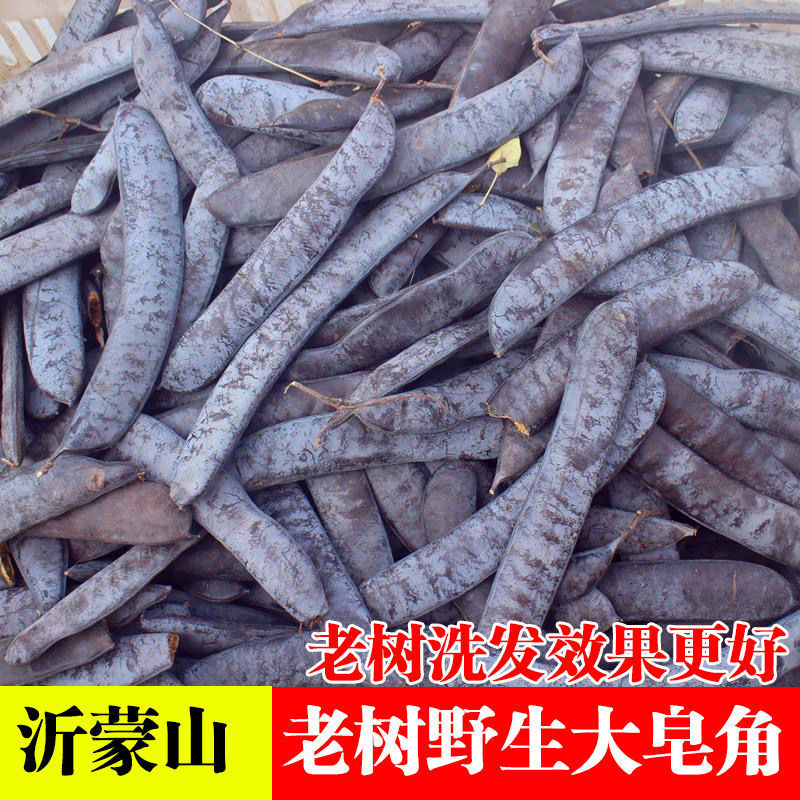 1斤包邮新货皂角大皂角长皂角大皂荚500g250g可选皂角洗发水