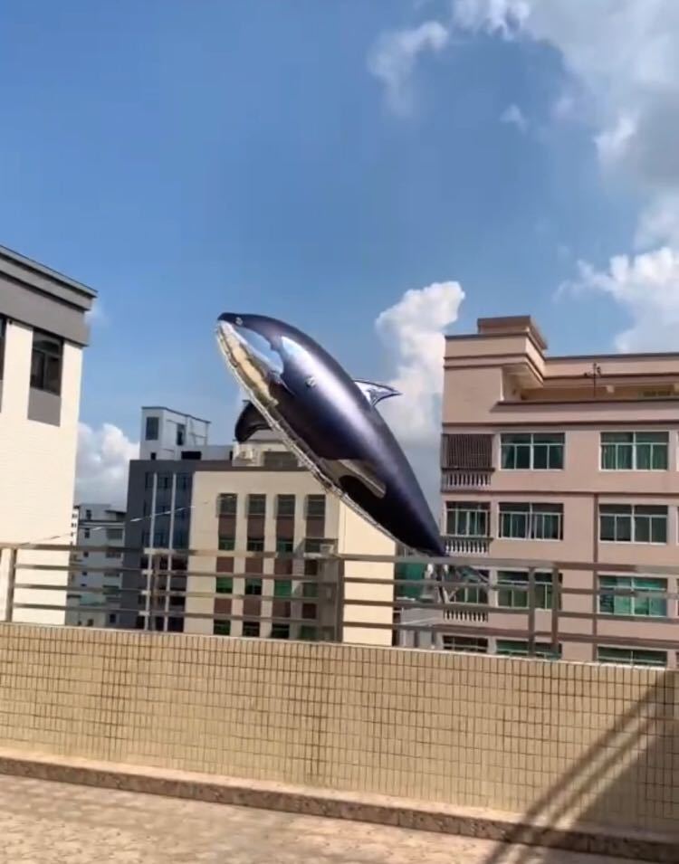 软体飞行海豚商场酒吧巡游舞台表演互动气氛道具遥控充气虎鲸气模