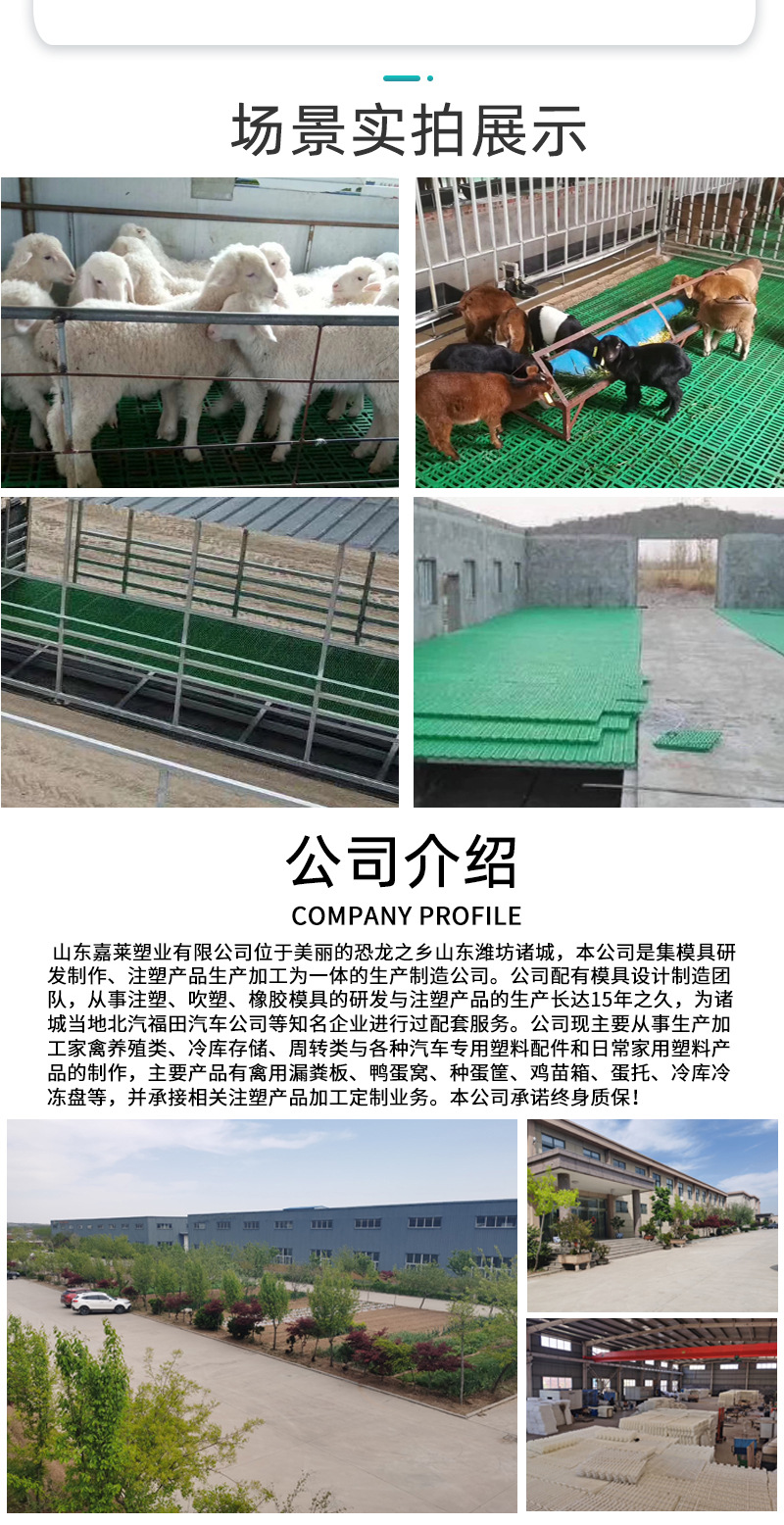 批发一米养羊用塑料漏粪地板 塑料羊床漏粪板 羊圈羊舍塑料漏粪板