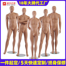 模特道具男全身人体服装模特男商务休闲服饰展示模特橱窗拍摄展示