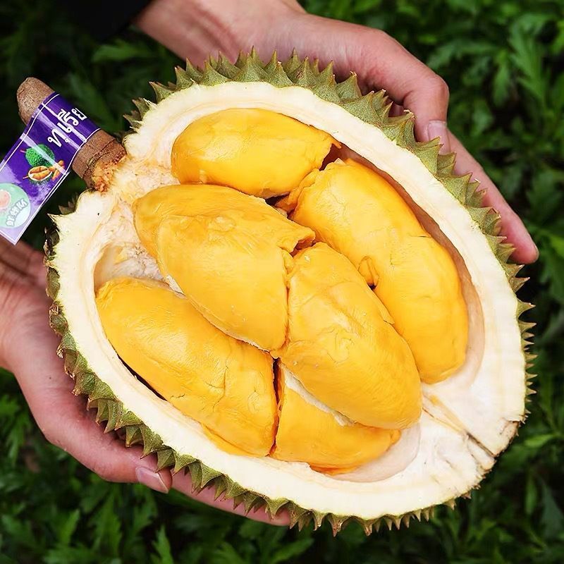 【10斤】泰国金枕头榴莲一整个新鲜水果非猫山王2斤