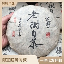 【干仓老茶】福鼎老白茶饼老树白茶贡眉寿眉茶饼高山日晒茶叶350g