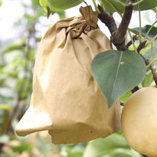 水果套袋【一千只】果园防鸟防虫枇杷苹果桃子梨子芒果防水纸套袋