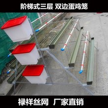 蛋鸡笼养殖场阶梯式鸡笼子三层自动滚蛋家用特大号鸡舍养殖笼设备