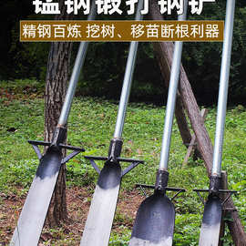 农用铁锹挖树锰钢铲子洛阳铲起苗户外挖土坑树根桩洞工具