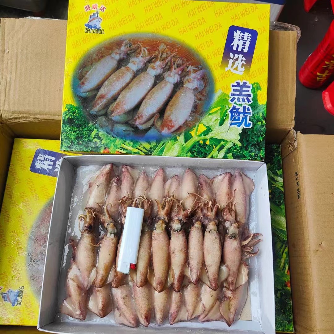 全籽膏鱿鱼羔鱿 (全膏) 鱿鱼净重约1000g/盒 羔鱿家用商用烧烤