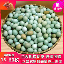 绿壳山鸡蛋60枚新鲜乌鸡蛋40枚正宗农家散养土鸡蛋15枚农村柴鸡蛋