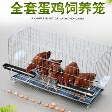 鸡笼滚蛋鸡笼加粗鸡笼子蛋鸡笼母鸡笼带蛋托鸡笼家用大笼子代发拍