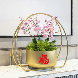 开业乔迁福桶春节抱抱桶年宵干花花桶花盆花器装扮花瓶银柳摆件