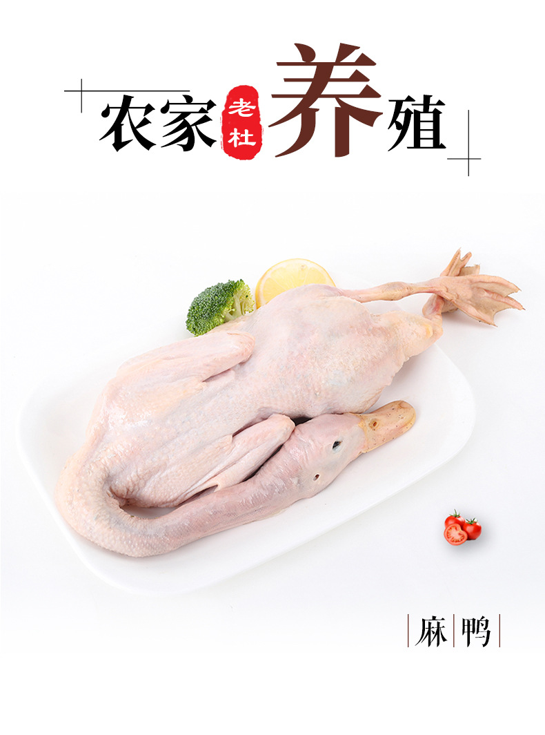 上海老杜崇明麻鸭 麻鸭1100g 冰冻新鲜鸭肉 农家水鸭土鸭 批发