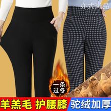 中老年人女士驼绒棉裤女冬季外穿高腰加绒加厚裤子妈妈保暖裤东北