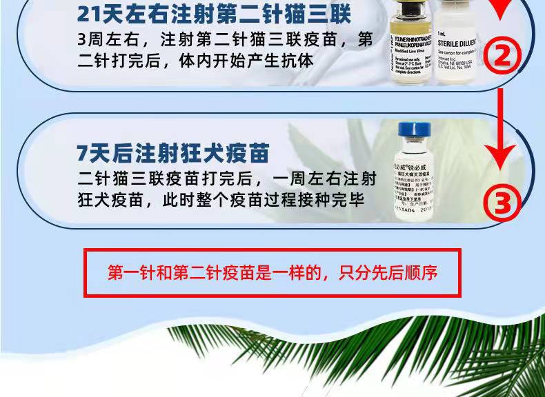 英特威 猫三联 套装小猫针幼猫成猫防疫育苗猫疫苗 猫三联疫苗