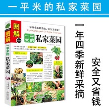 正版图解一平米的私家菜园种植书籍蔬菜种植技术大全在阳台上种菜