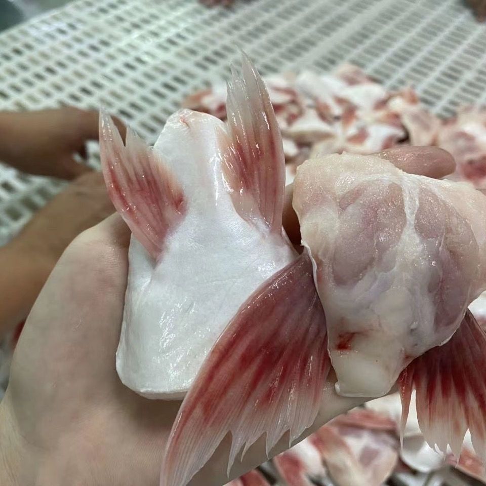 鱼翅批发正宗特级新鲜巴沙鱼翅鱼肥油巴沙鱼鱼鳍鱼肚鱼腩鮰鱼鱼翅