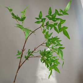 8成交471笔深度验商复购率:38%仿真植物软胶南天竹 天葵竹 新中式家居