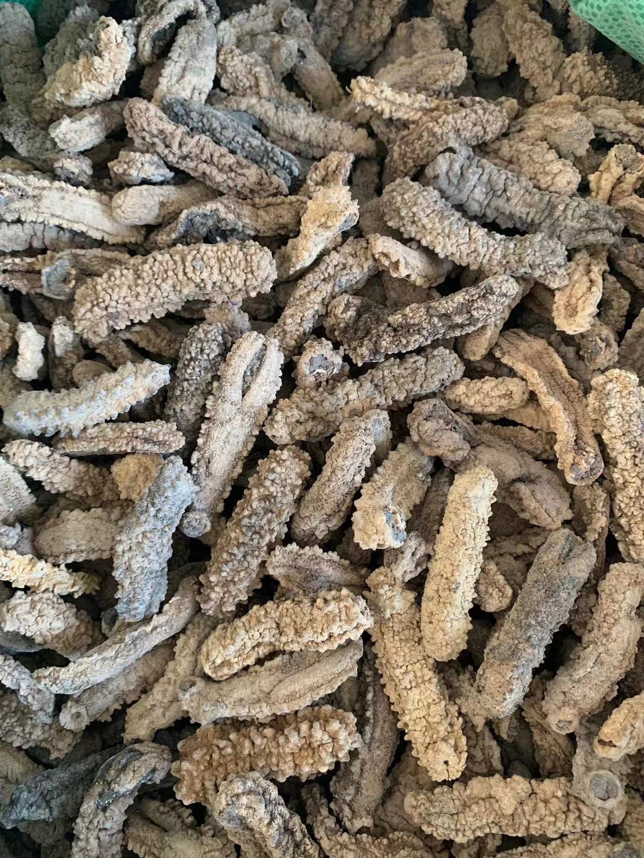 刺参年份9年以上食品工艺水产干货净重(规格)500(g)生产厂家渔惠品