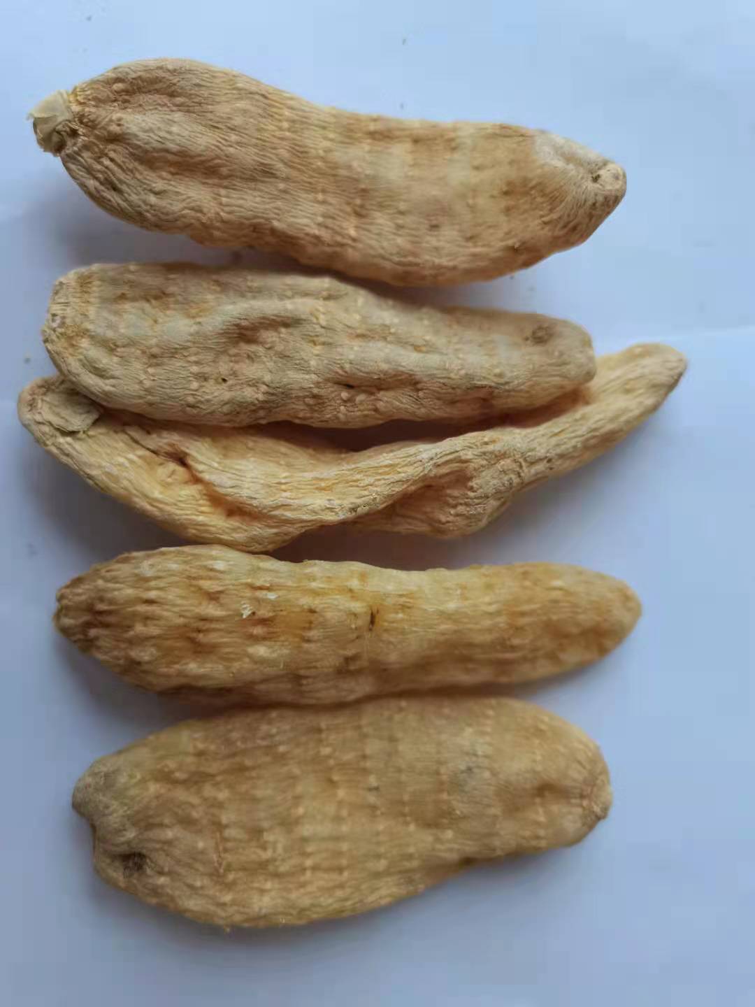 【大统货天麻个】【同稳药材】中药材批发供应 规格齐全 量大从优