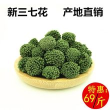 云南文山四年三七花500g灌装特产非野生37新花田七花茶包