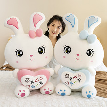 兔子毛绒玩具公仔大号创意抱心兔睡觉抱枕给女朋友的情人节礼物
