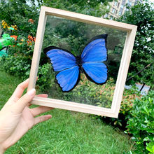 亚克力框玻璃画框实木相框幼儿园diy涂鸦手绘美术材料透明标本
