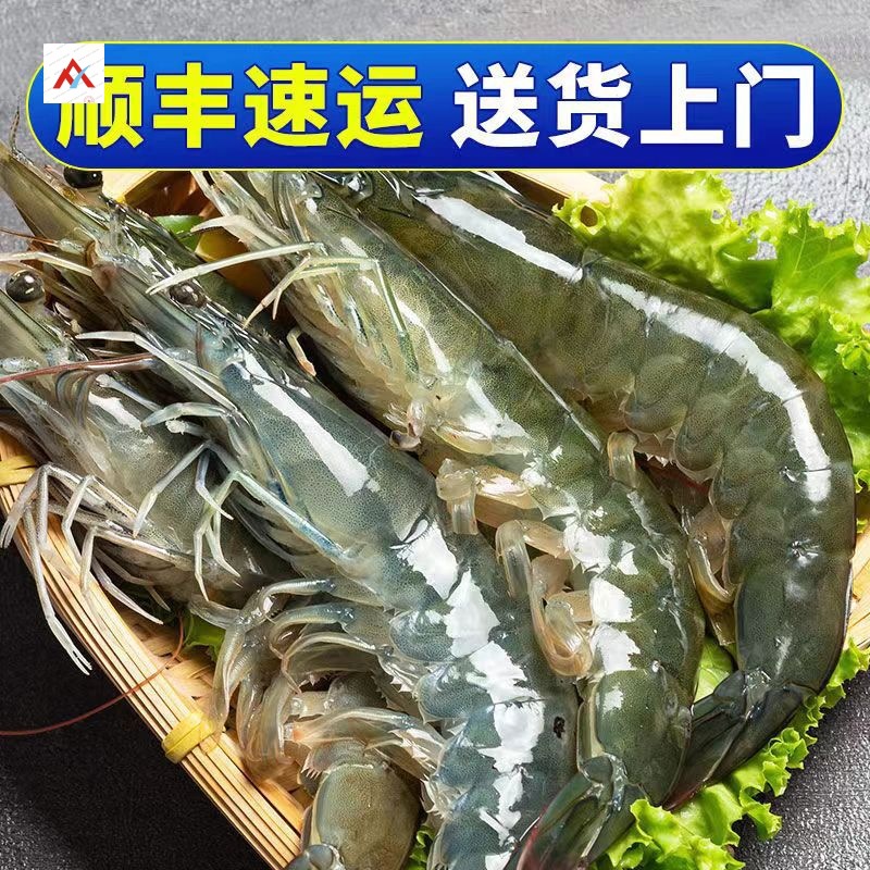 青岛大虾超大青虾鲜活速冻基围虾新鲜冷冻白虾对虾海水虾商用批发