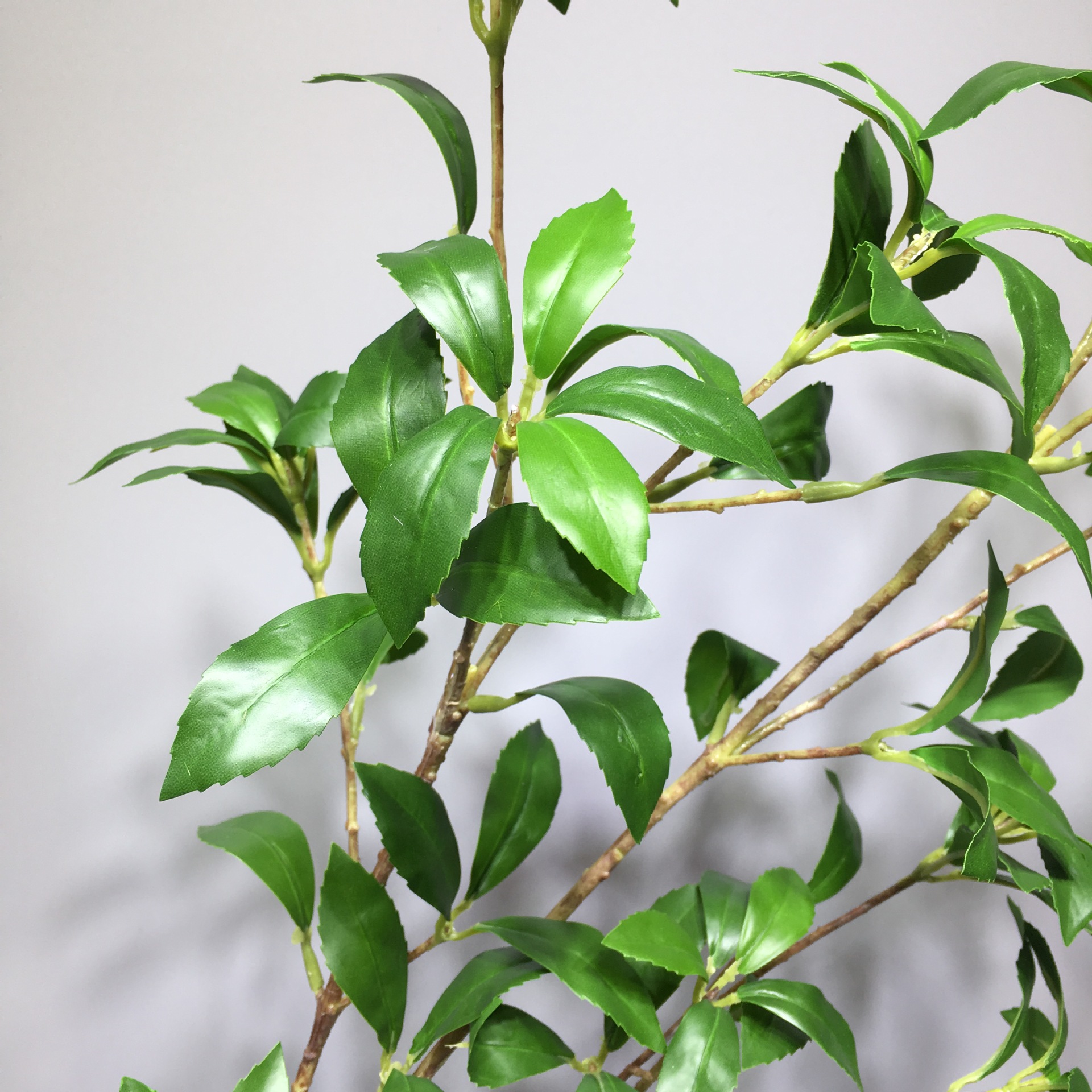 仿真植物日本马醉木北欧网红吊钟叶盆栽客厅橱窗落地装饰假绿植