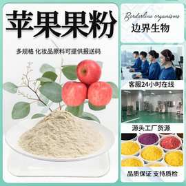 苹果粉浓缩果汁粉  边界生物水溶性食品级   原料   喷雾干燥固体