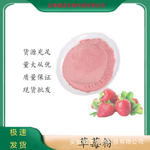 草莓粉 红茶粉 绿茶粉 抹茶粉 麦苗粉 食品级食品添加剂 量大从优