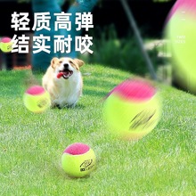 狗狗玩具球边牧柯基金毛逗狗遛狗训犬专用耐咬磨牙小狗宠物狗网球