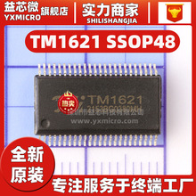 TM1621/TM1628A/1638/1640/2313/2314 HT B C E SSOP SOP28驱动IC