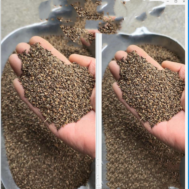 批发一二生草本植物唇形科植物 益母草种子 益母草欢迎联系-阿里巴巴