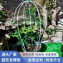 园艺花卉植物防止倒保护玻璃纤维支撑杆子庭院绿植水果支撑爬藤架
