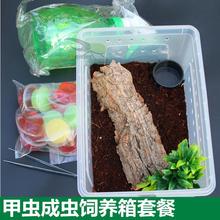 Unicorn Adult Beetle Reptile Pet Feeding Package Acrylic跨境