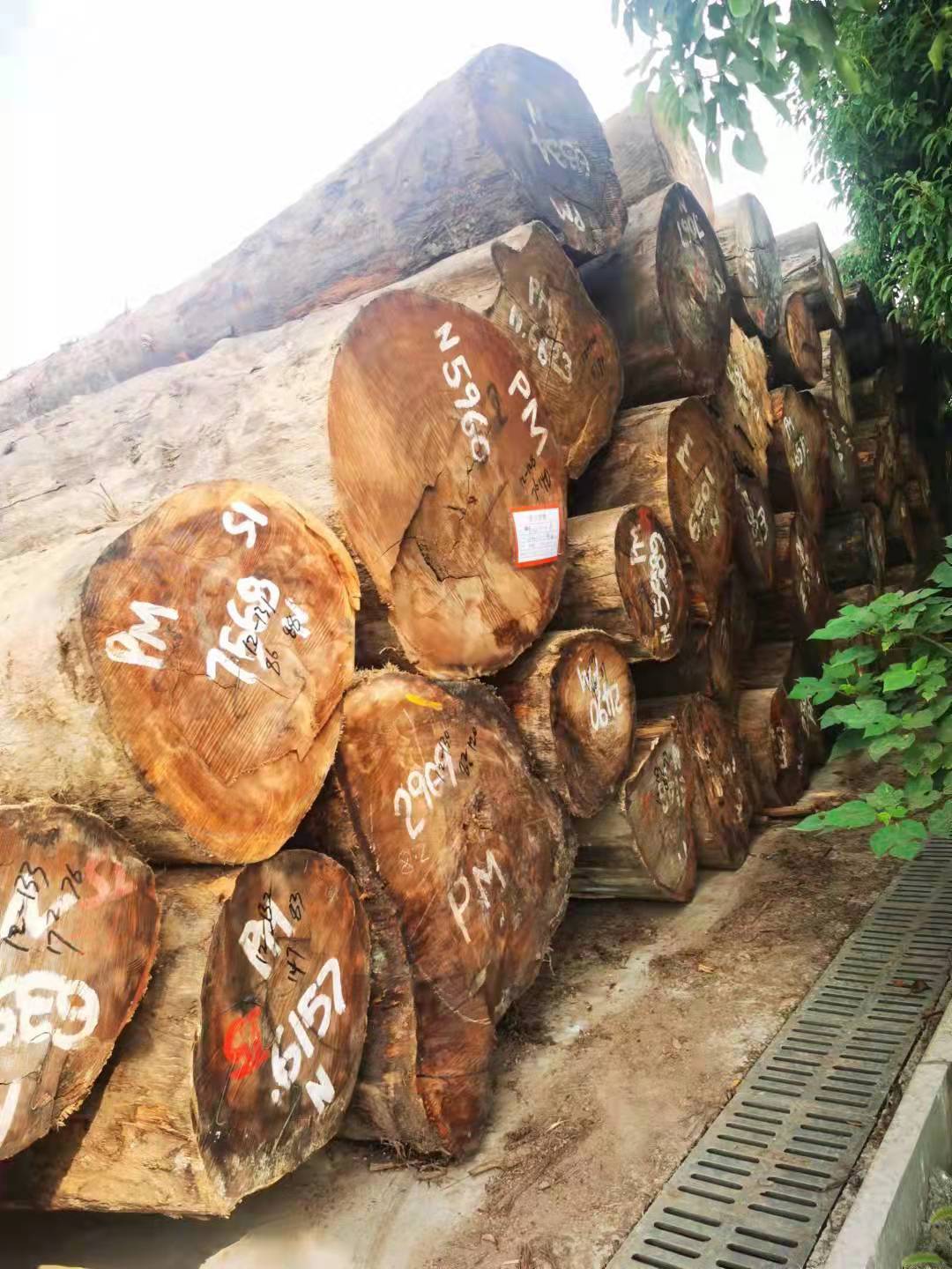 批发进口大径唐木原木板材潘龙眼防腐木家具材地板材工程建筑用材