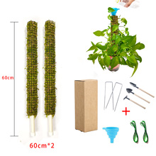 跨境爆款亚马逊热销园艺用青苔杆爬藤植物攀爬棒绿萝龟背竹苔藓杆