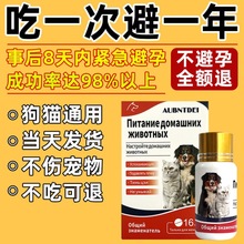 狗狗避孕药母狗事后紧急绝育母猫避孕长效土狗泰迪流浪狗金毛狗吃