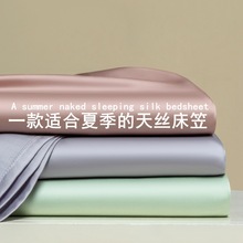 夏季100支天丝床笠单件冰丝凉感 席梦思床垫保护套防尘全包床单罩