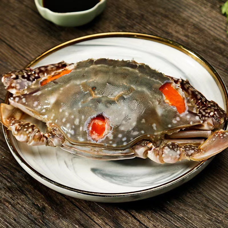 舟山特产红膏梭子蟹生腌红膏呛蟹炝蟹韩国酱蟹咸蟹飞机蟹即食代发