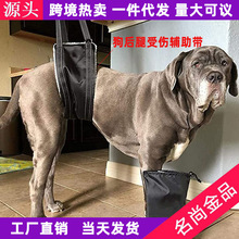 亚马逊狗后腿受伤狗狗助行带老犬步行辅助带狗腿走路辅助保护背带