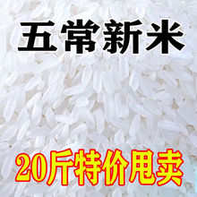 东北大米新米五常稻花香长粒香3斤10斤20斤批发价直销跨境混批