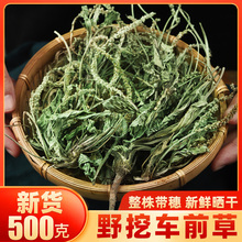 车前草野生中药500g新鲜干货袋泡茶车前子中草药材正品猫爪草泡水