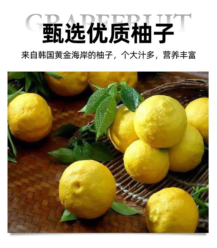 全南蜂蜜柚子茶580g韩国进口大枣芦荟柠檬水果酱茶冲泡饮料品批发