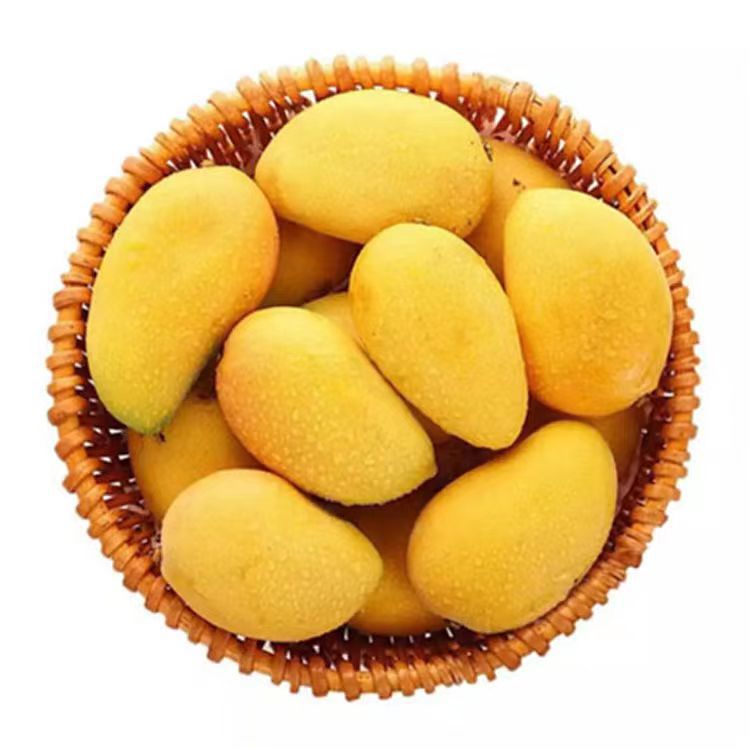 正宗小台农芒海南小台农芒果成熟肉香味甜整箱小台芒一件代发