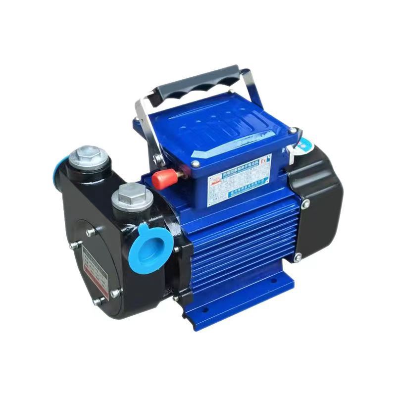 DYB-80 Portable Explosion-Proof Electric Pump 220V Large Flow Self-Priming Methanol Gasoline Diesel Petrol Pump