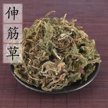 伸筋草 中药材伸筋草 大货批发 量大从优品种齐全