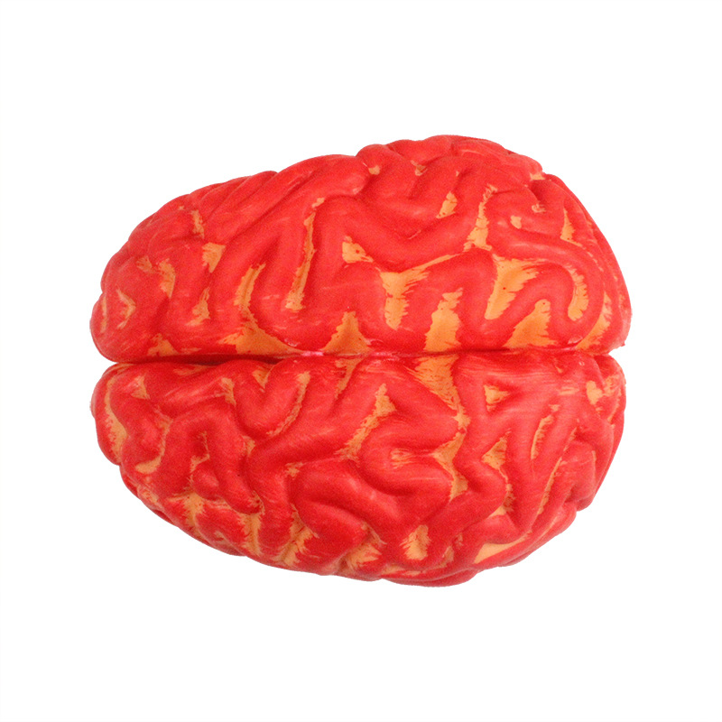 万圣节用品血脑鬼节道具恐怖装饰道具整人仿真大脑道具 立体脑浆